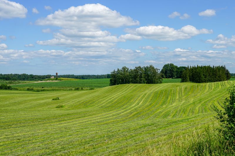 Creating Open Spaces