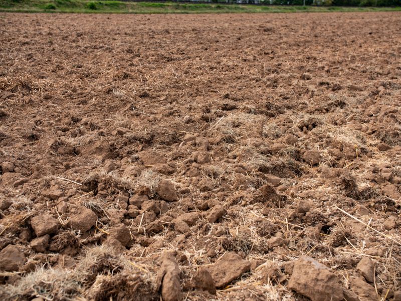 Land Preparation for Farming