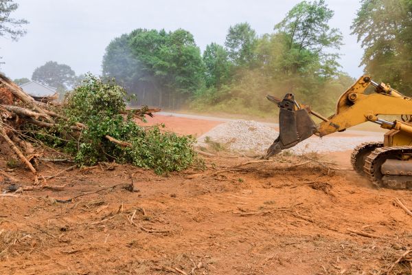 Ground Clearing in Belleville