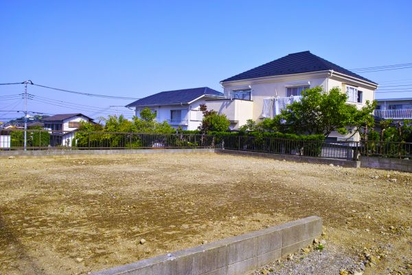Cost of Lot Clearing Service in Belleville
