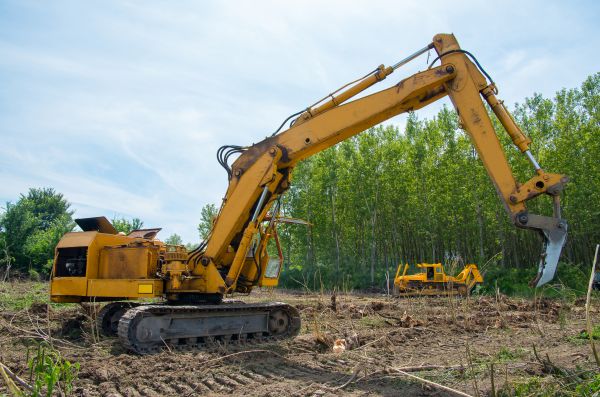 Cost of Farm Clearing in Belleville
