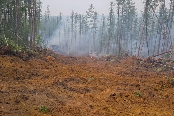 Cost of Hill Clearing in Belleville