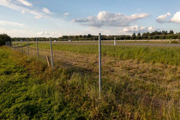Cost of Property Line Clearing in Belleville