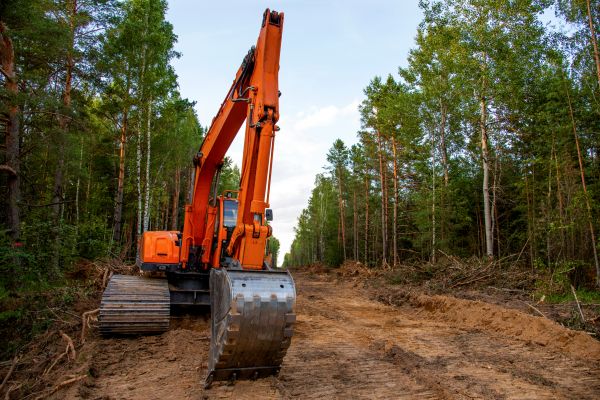 Cost of Backhoe Land Clearing in Belleville