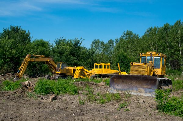 Cost of Bulldozer Clearing in Belleville