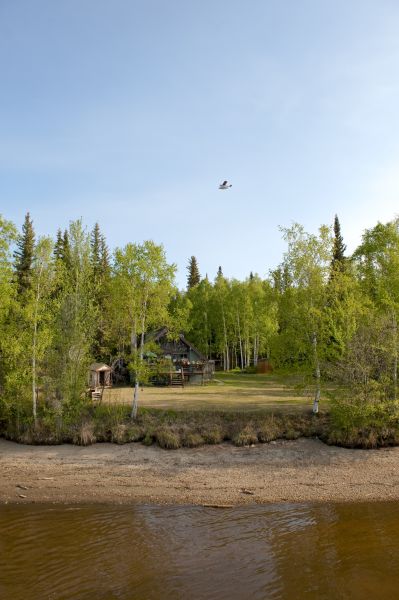 Cost of Waterfront Land Clearing in Belleville