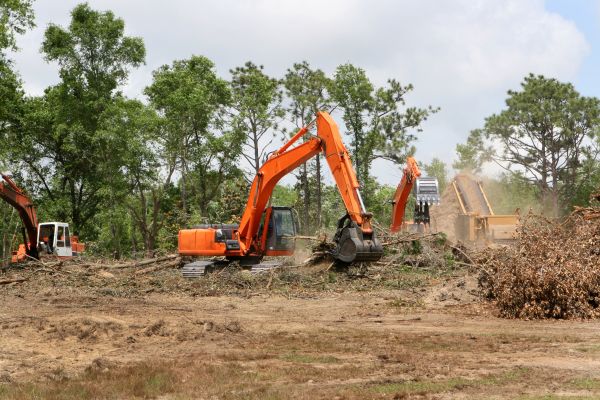 Cost of Commercial Lot Clearing in Belleville