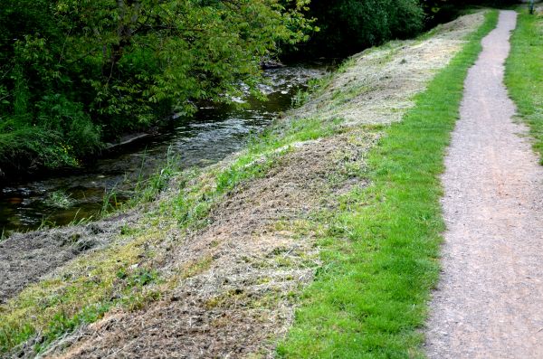 Cost of Trail Cutting in Belleville